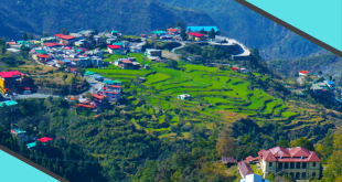 Mussoorie & Dehradun